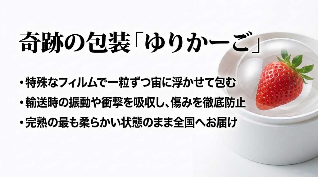 特殊フィルムでいちごを一粒ずつ宙に浮かせて包む「ゆりかーご」。輸送時の振動や衝撃から完熟の越後姫を守る画期的な包装技術