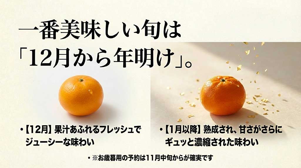 12月のフレッシュな味わいと1月の熟成された甘さ、11月中旬からの予約推奨時期をまとめたスライド