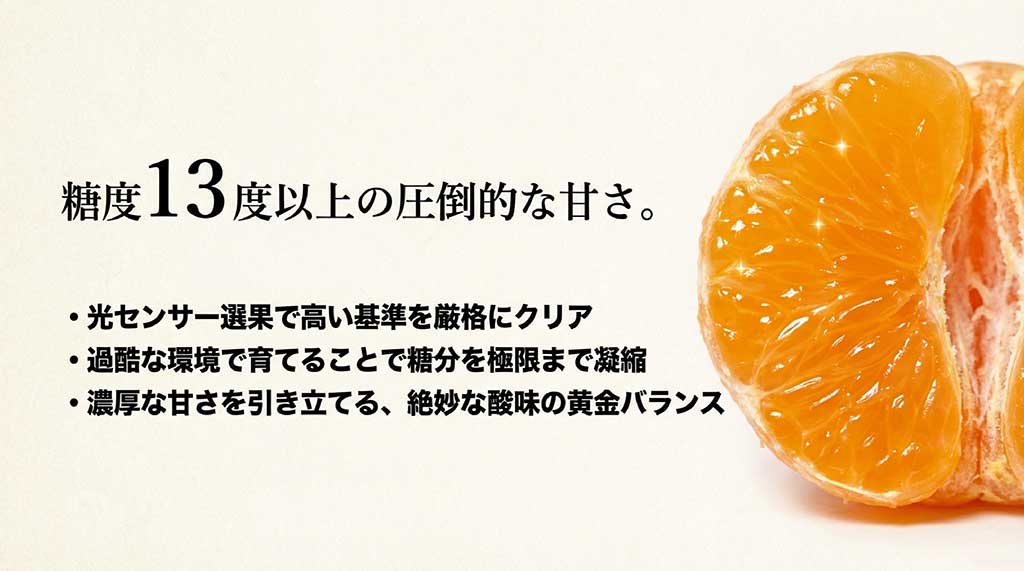 光センサー選果で糖度13度以上をクリアし、根域制限栽培で甘みを凝縮させた祐徳みかんの解説スライド
